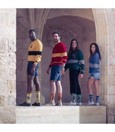Calcetines Harry Potter Gryffindor | Warner Bros - Estilo Mágico y Confort