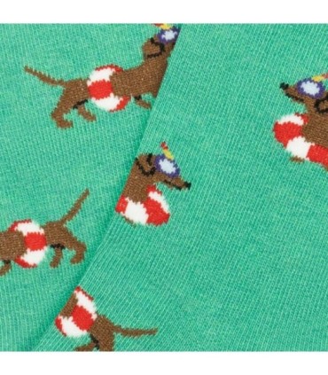 Calcetines Lifeguard Dog | Jimmy Lion - Estilo Playero para Niños