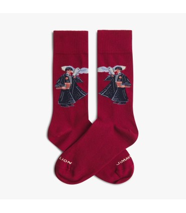 HARRY POTTER THE BOY WHO LIVED