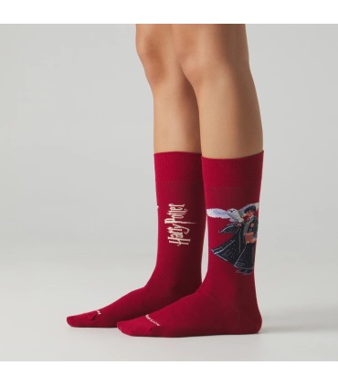 HARRY POTTER THE BOY WHO LIVED