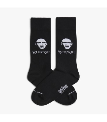 HARRY POTTER VOLDEMORT